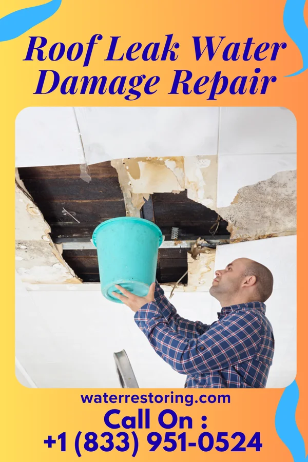 Roof Leak Water Damage Repair in Gibson, AR